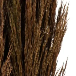 Stems & Bouquets-Kirkland's Home Preserved Plume Reed Bundles, Set Of 2 Brown