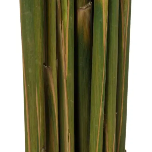 Stems & Bouquets-Kirkland's Home Preserved Plume Reed Bundles, Set Of 2 Brown