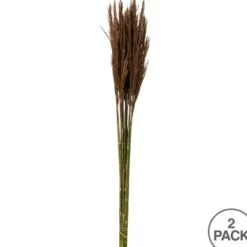 Stems & Bouquets-Kirkland's Home Preserved Plume Reed Bundles, Set Of 2 Brown