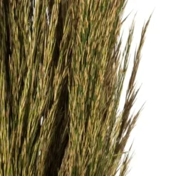 Stems & Bouquets-Kirkland's Home Preserved Plume Reed Bundles, Set Of 2 Green
