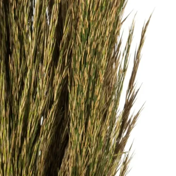 Stems & Bouquets-Kirkland's Home Preserved Plume Reed Bundles, Set Of 2 Green
