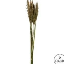 Stems & Bouquets-Kirkland's Home Preserved Plume Reed Bundles, Set Of 2 Green