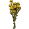 Stems & Bouquets-Kirkland's Home Preserved Plumosum Flower Bundle Yellow