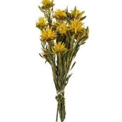 Stems & Bouquets-Kirkland's Home Preserved Plumosum Flower Bundle Yellow