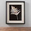 Framed Art-Kirkland's Home Pressed Leaves Iv Framed Art Print Black/Tan