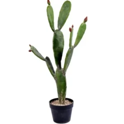 Trees & Topiaries-Kirkland's Home Prickly Pear Cactus In Black Pot