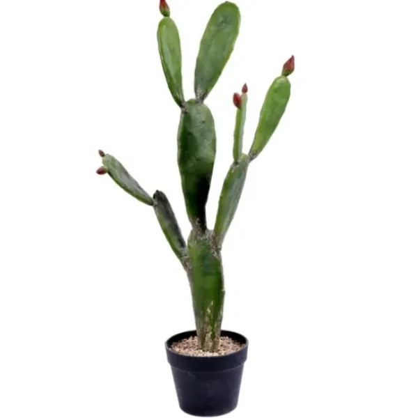 Trees & Topiaries-Kirkland's Home Prickly Pear Cactus In Black Pot