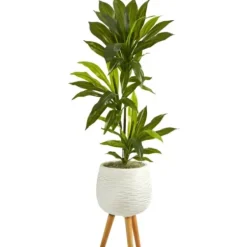 Trees & Topiaries-Kirkland's Home Real Touch Dracaena In Mossy Tripod Planter