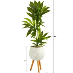 Trees & Topiaries-Kirkland's Home Real Touch Dracaena In Mossy Tripod Planter