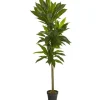Trees & Topiaries-Kirkland's Home Real Touch Dracaena Tree In Black Planter