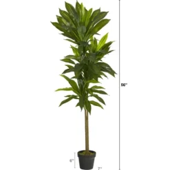 Trees & Topiaries-Kirkland's Home Real Touch Dracaena Tree In Black Planter
