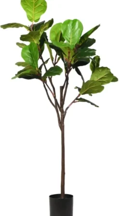 Stems & Bouquets-Kirkland's Home Real Touch Fiddle Leaf In Nursery Planter, 70 In. Green/White