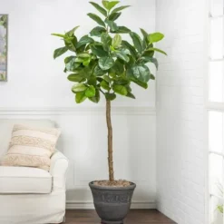 Trees & Topiaries-Kirkland's Home Real Touch Rubber Tree In Black Pot, 6 Ft.