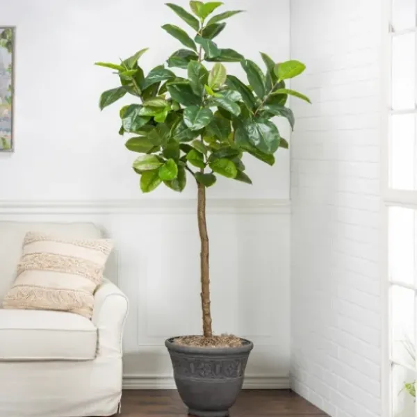 Trees & Topiaries-Kirkland's Home Real Touch Rubber Tree In Black Pot, 6 Ft.