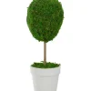 Trees & Topiaries-Kirkland's Home Reindeer Moss Ball Topiary In White Pot