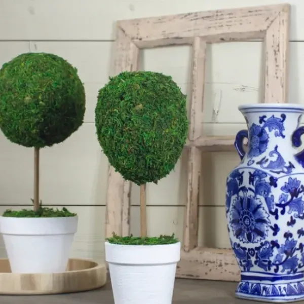 Trees & Topiaries-Kirkland's Home Reindeer Moss Ball Topiary In White Pot