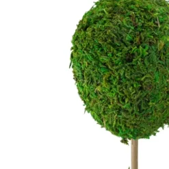 Trees & Topiaries-Kirkland's Home Reindeer Moss Ball Topiary In White Pot