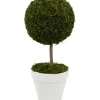 Trees & Topiaries-Kirkland's Home Reindeer Moss Ball Topiary In White Planter