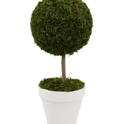 Trees & Topiaries-Kirkland's Home Reindeer Moss Ball Topiary In White Planter
