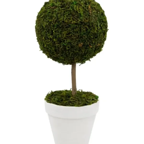 Trees & Topiaries-Kirkland's Home Reindeer Moss Ball Topiary In White Planter