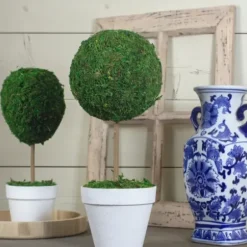 Trees & Topiaries-Kirkland's Home Reindeer Moss Ball Topiary In White Planter