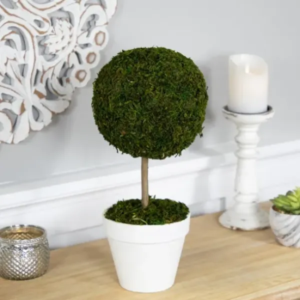 Trees & Topiaries-Kirkland's Home Reindeer Moss Ball Topiary In White Planter