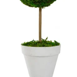 Trees & Topiaries-Kirkland's Home Reindeer Moss Ball Topiary In White Planter