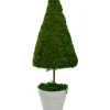 Trees & Topiaries-Kirkland's Home Reindeer Moss Cone Topiary In White Planter