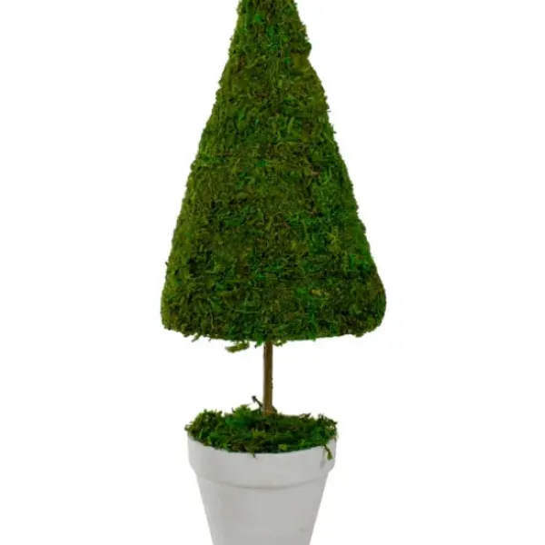 Trees & Topiaries-Kirkland's Home Reindeer Moss Cone Topiary In White Planter
