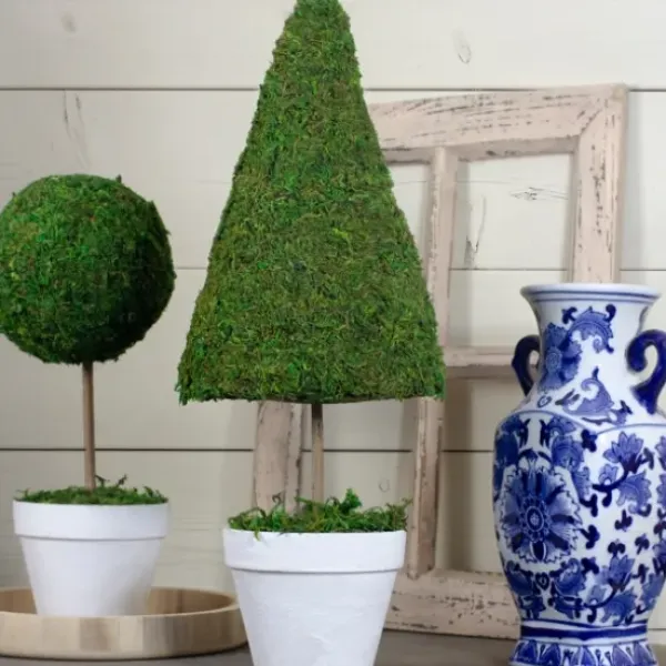 Trees & Topiaries-Kirkland's Home Reindeer Moss Cone Topiary In White Planter