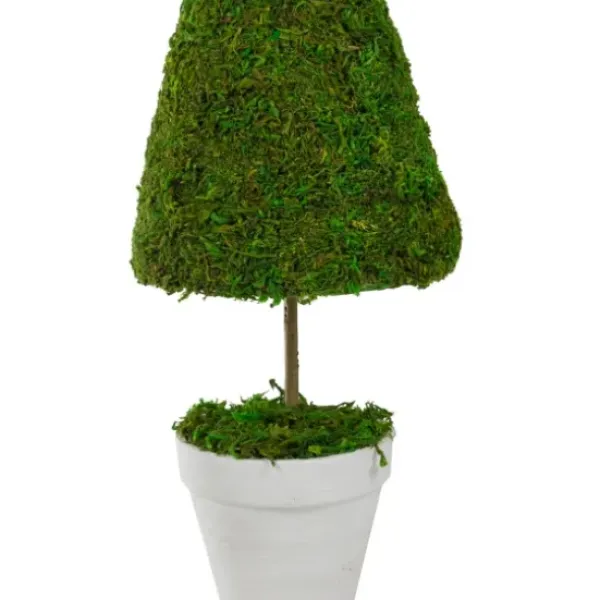 Trees & Topiaries-Kirkland's Home Reindeer Moss Cone Topiary In White Planter