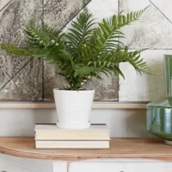 Arrangements & Greenery-Kirkland's Home River Rock Fern In Ribbed White Planter Green/Blue