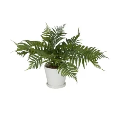 Arrangements & Greenery-Kirkland's Home River Rock Fern In Ribbed White Planter Green/Blue