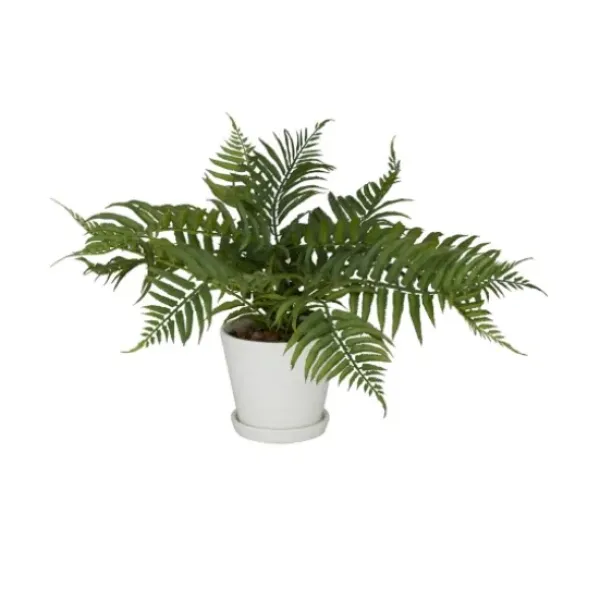 Arrangements & Greenery-Kirkland's Home River Rock Fern In Ribbed White Planter Green/Blue