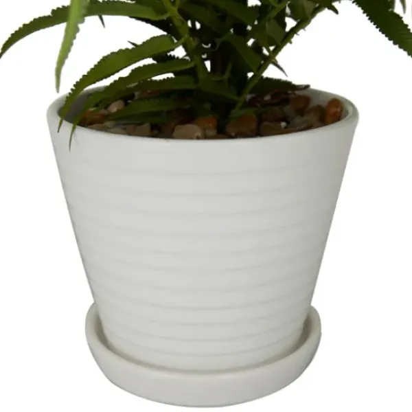 Arrangements & Greenery-Kirkland's Home River Rock Fern In Ribbed White Planter Green/Blue