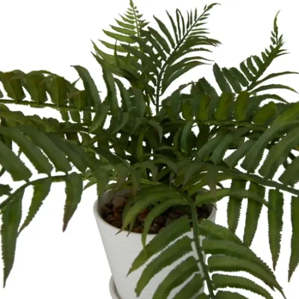 Arrangements & Greenery-Kirkland's Home River Rock Fern In Ribbed White Planter Green/Blue