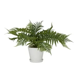 Arrangements & Greenery-Kirkland's Home River Rock Fern In Ribbed White Planter Green/Blue
