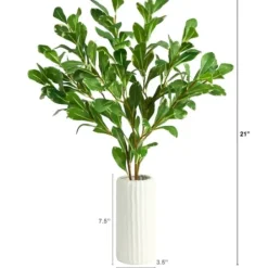 Arrangements & Greenery-Kirkland's Home Salal Shrub In Oblong Ribbed Vase, 21 In. Green/White