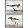 Framed Art-Kirkland's Home Sandpiper On Coast Framed 2Pc Canvas Art Print Set Brown/White/Multi