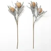 Stems & Bouquets-Kirkland's Home Sandy Protea Stem Tan/Gray