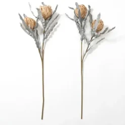 Stems & Bouquets-Kirkland's Home Sandy Protea Stem Tan/Gray