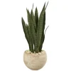 Trees & Topiaries-Kirkland's Home Sanserviera River Rock Plant In Sand Planter