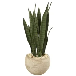 Trees & Topiaries-Kirkland's Home Sanserviera River Rock Plant In Sand Planter