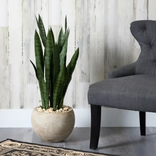 Trees & Topiaries-Kirkland's Home Sanserviera River Rock Plant In Sand Planter