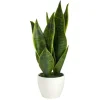 Arrangements & Greenery-Kirkland's Home Sansevieria Arrangement In White Planter Gray/White