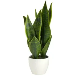 Arrangements & Greenery-Kirkland's Home Sansevieria Arrangement In White Planter Gray/White