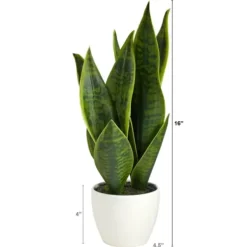 Arrangements & Greenery-Kirkland's Home Sansevieria Arrangement In White Planter Gray/White