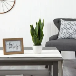 Arrangements & Greenery-Kirkland's Home Sansevieria Arrangement In White Planter Gray/White