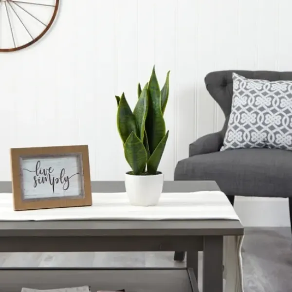 Arrangements & Greenery-Kirkland's Home Sansevieria Arrangement In White Planter Gray/White
