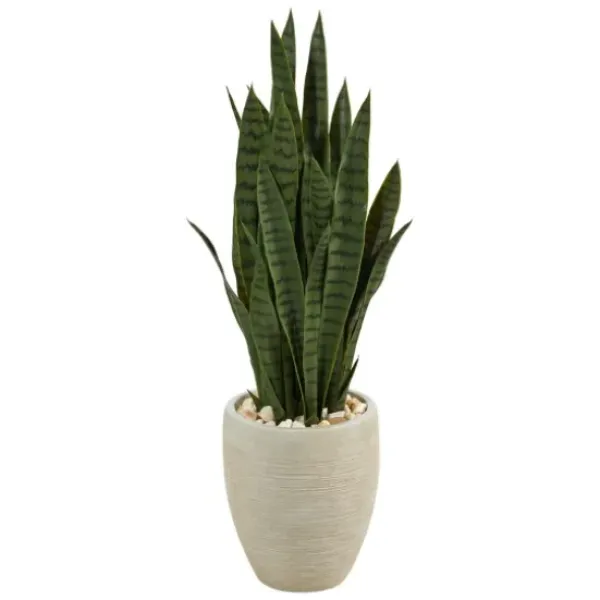 Trees & Topiaries-Kirkland's Home Sansevieria Arrangement In Sand Planter